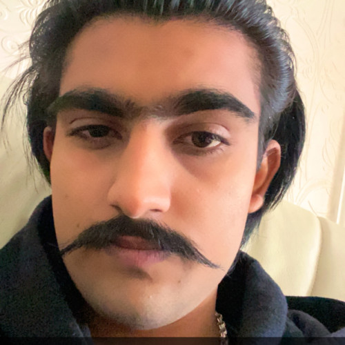 Anshul S. profile photo