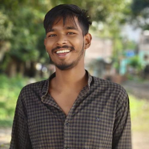 Swapnadip  D. profile photo