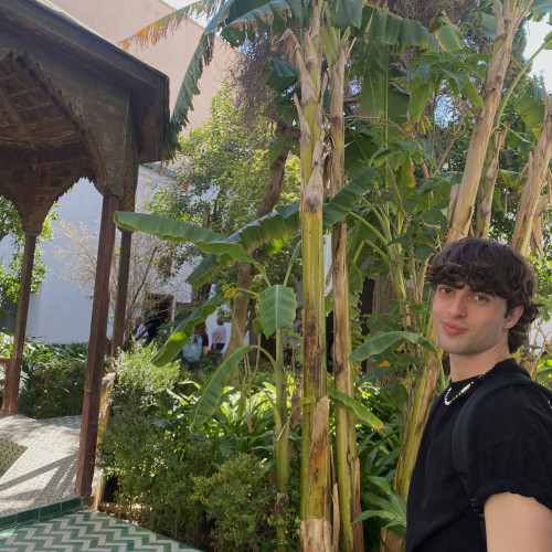 Francesco V. profile photo