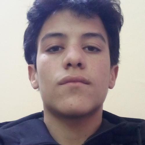 moha a. profile photo