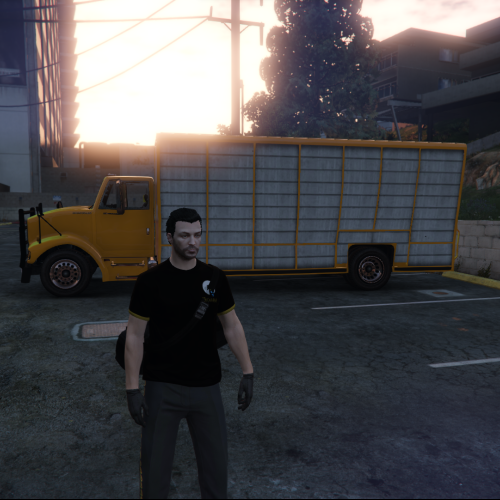 teo m. profile photo