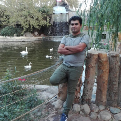 Mohamad M. profile photo