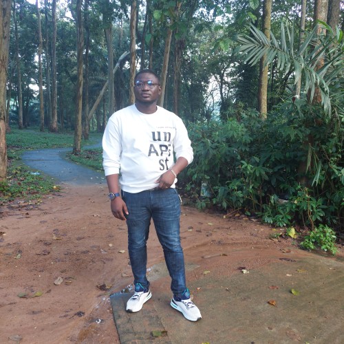 Ade  S. profile photo