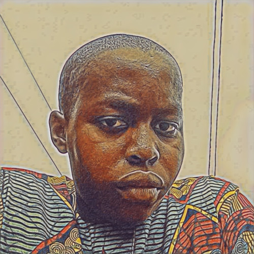 Akinbade  S. profile photo