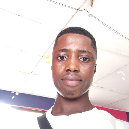 Dam M. profile photo