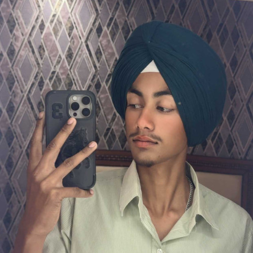 sehajpreet s. profile photo