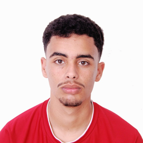 Hamza M. profile photo