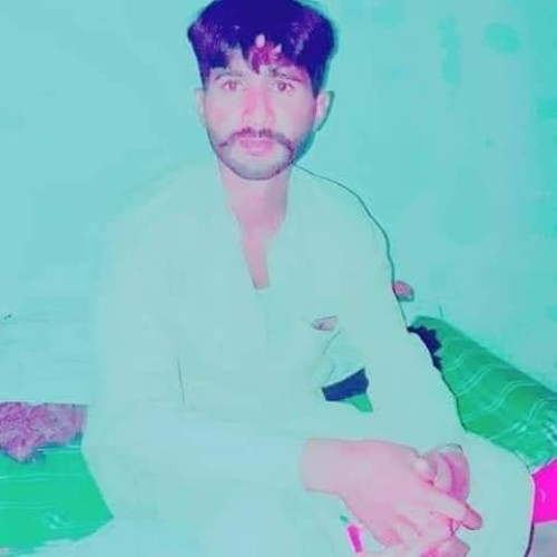 Muhammad S. profile photo