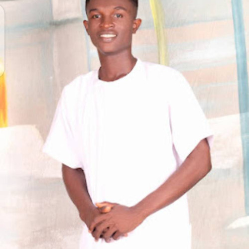 Ndubuisi  C. profile photo