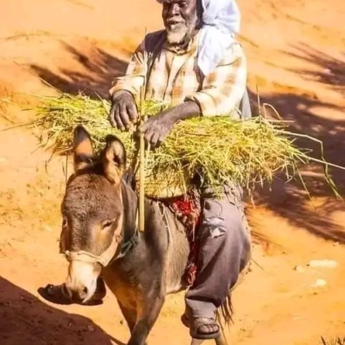 Mouhid  M. profile photo