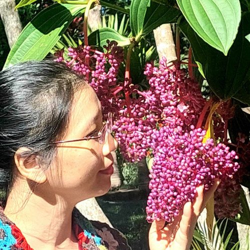 Pham Xuan Phuong N.