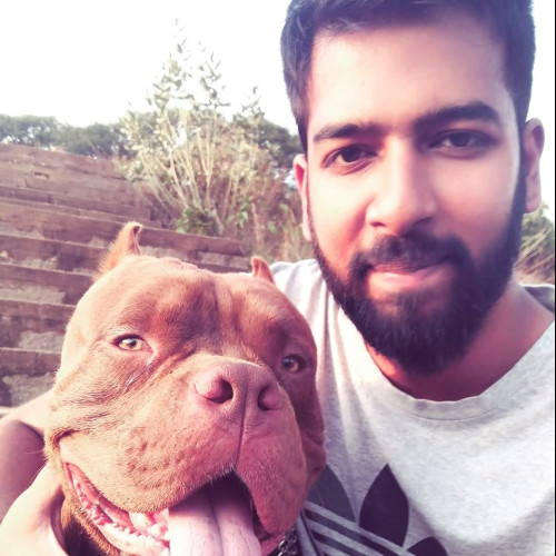 Shank  M. profile photo