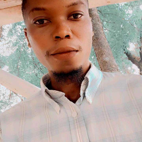 Oluwafemi S. profile photo