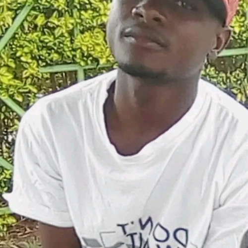 PAUL N. profile photo