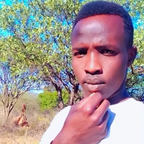 Albert K. profile photo