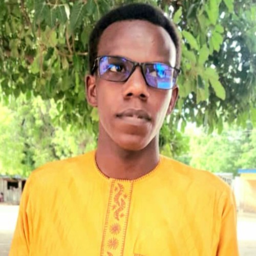 Abulfathi Mustapha  G.
