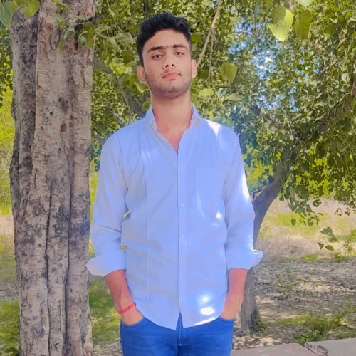 Priyanshu N. profile photo