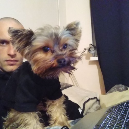 boris k. profile photo