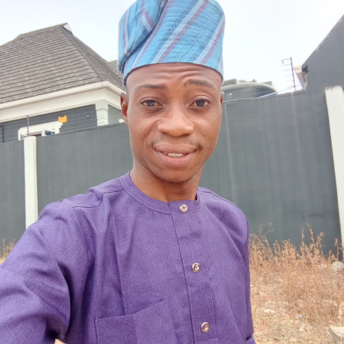 Olayiwola  E. profile photo