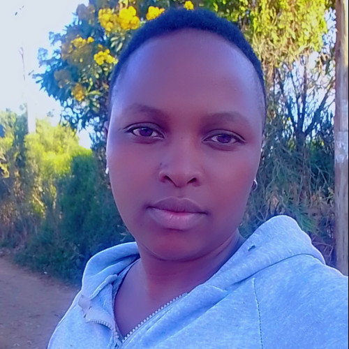 Jenner K. profile photo