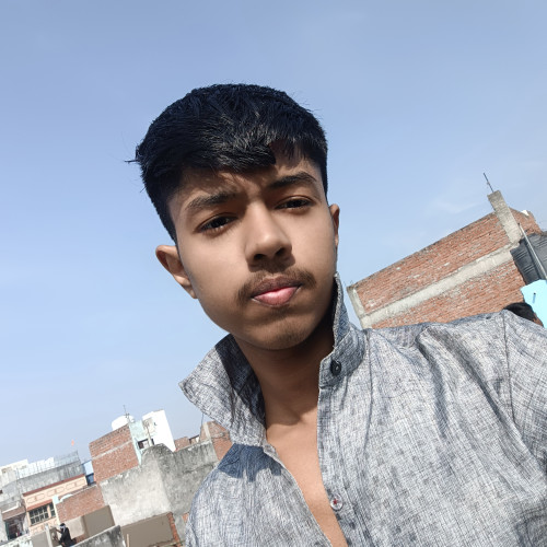 Ayush S. profile photo