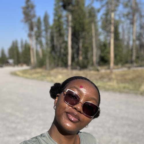 Olaoluwa A.
