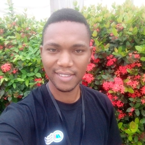 Adedayo O.