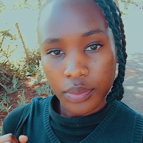 Pollet  O. profile photo