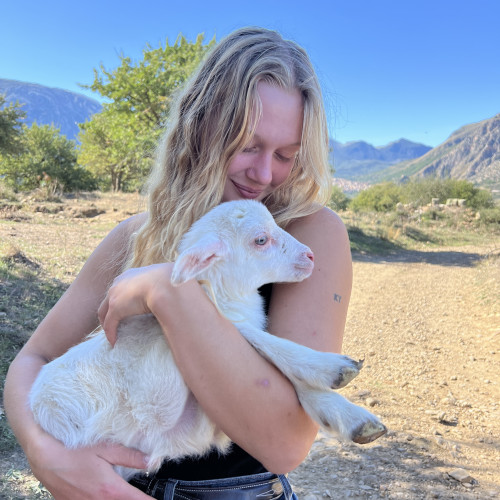 Sofie  B. profile photo