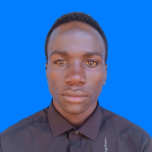 Ibrahim  p. profile photo