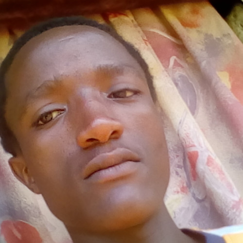 Paul N. profile photo