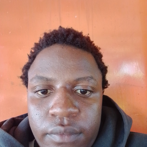 Dennis  N. profile photo