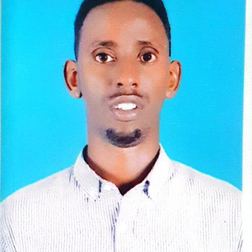 Mohamed A.