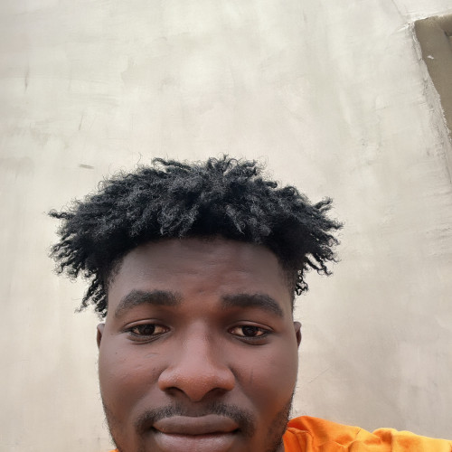 Olamide L. profile photo