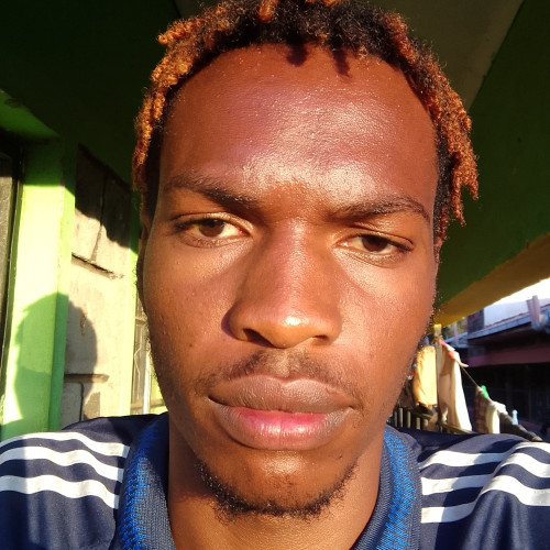 Harrison  W. profile photo