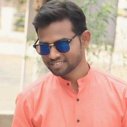 Ankesh N.