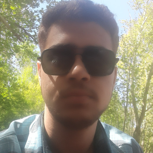 Mehdi H.