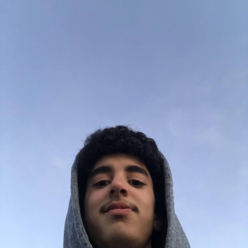 Amine L. profile photo