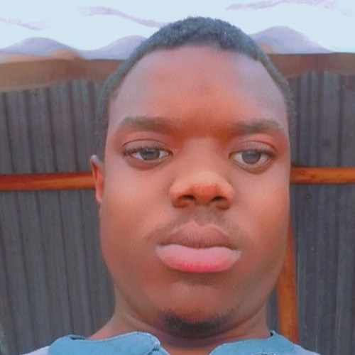 Lethabo  T.