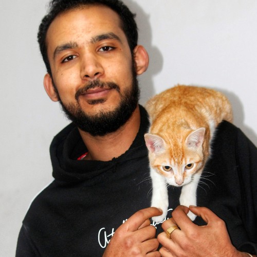 mohamed n. profile photo