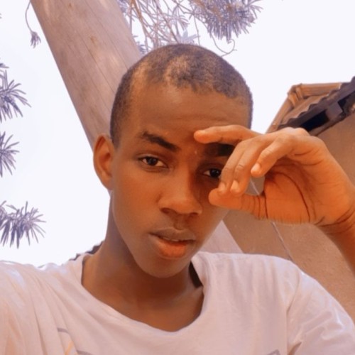 Danish L. profile photo