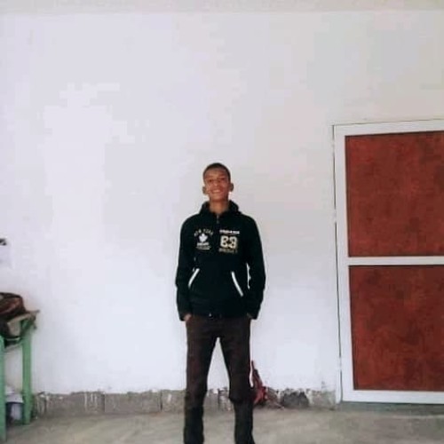 walid  a. profile photo