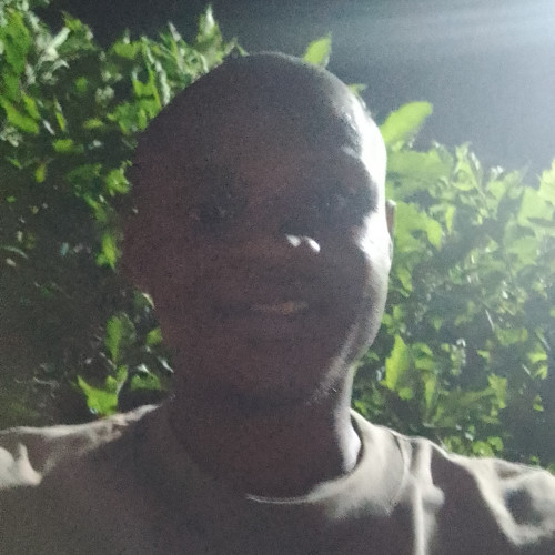 Ogochukwu  O. profile photo