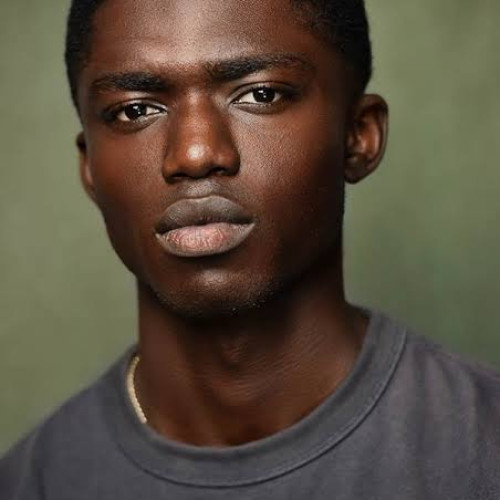 Sylvan  V. profile photo