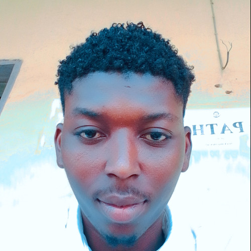 Oluwapelumi  O. profile photo