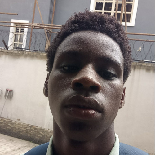 Oluwaseyi O. profile photo