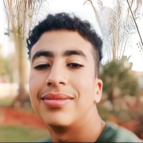 MOUHAMOUSSI H. profile photo