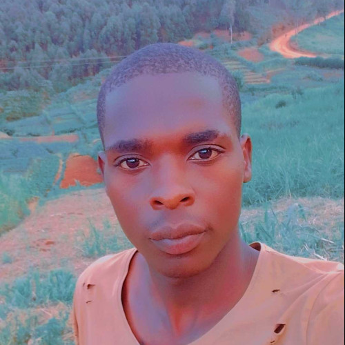 Peter m. profile photo