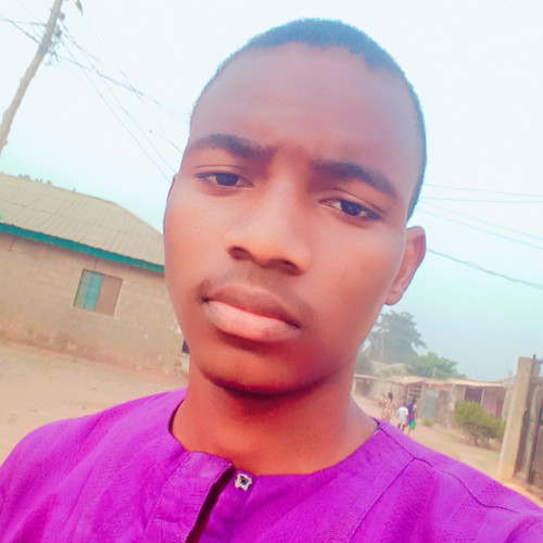 Dayo A. profile photo