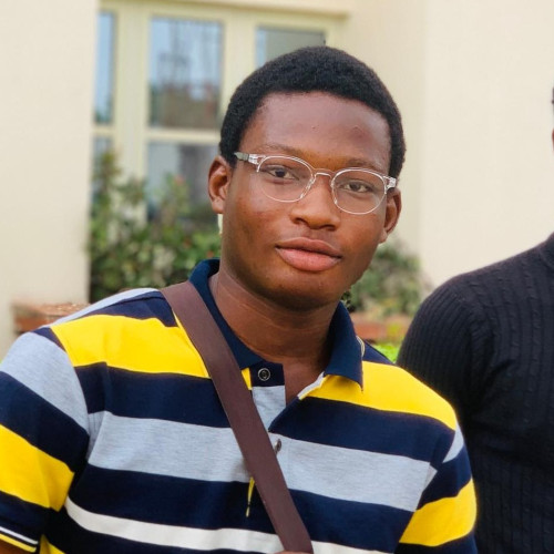 Temidayo  L.